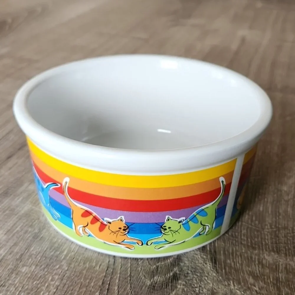 Cat Rainbow Riviera Van Beers Stoneware Cat Bowl NWOT